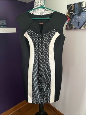 7 for $30 Enfocus Studio Black and White Paneled Sheath Dress